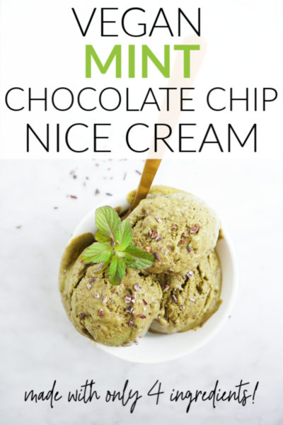 Vegan Mint Chocolate Chip Nice Cream - Whitney E. RD
